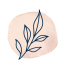 icon-ct.webp